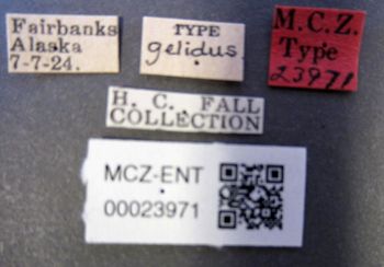Media type: image;   Entomology 23971 Aspect: labels